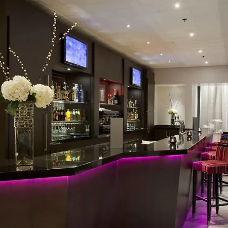 Otel Hilton Orly Airport Paris
